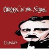 CHANGES "Orphan in the Storm" LP